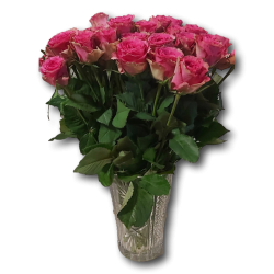 Rausva rožė 30cm.-1vnt.