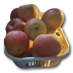 Obuoliai JONA GOLD, 1 kg